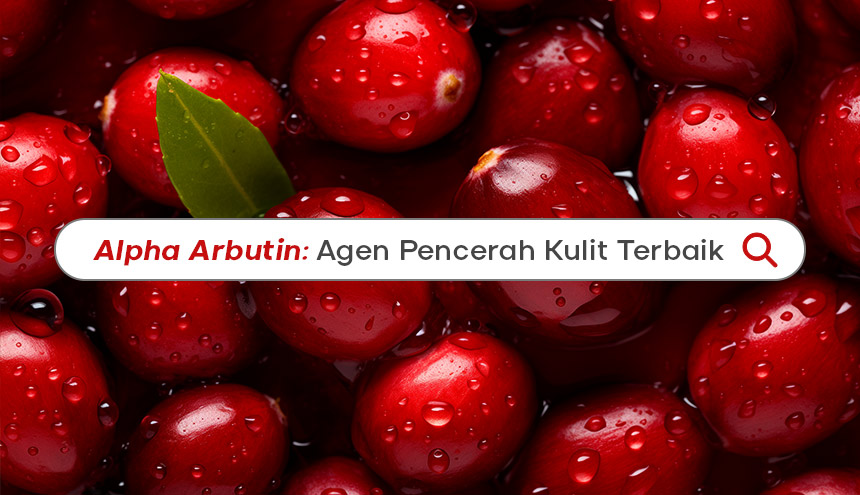 Alpha Arbutin: Agen Mencerahkan Kulit Terbaik!