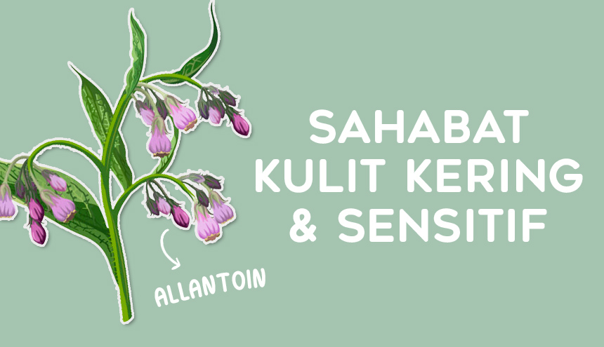 Say Hello to Allantoin! Holy Grail-nya Kulit Kering dan Sensitif