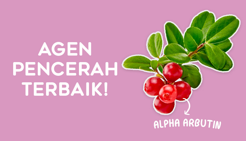 Agen Pencerah Kulit Terbaik: Alpha Arbutin!