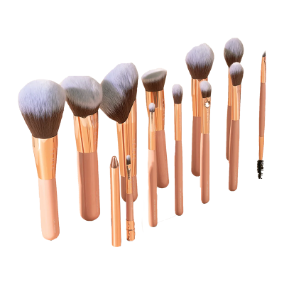 AERIS BEAUTE The Coral 2.0 (12 pcs Face & Eye Brush Set)