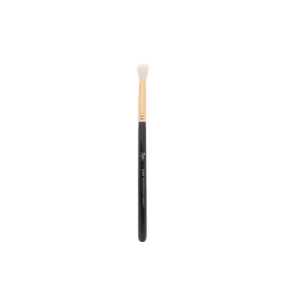 I Am Addicted E201 - Shadow Blender Brush