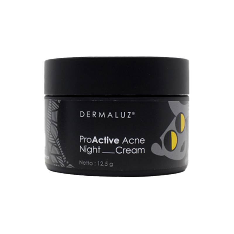 DERMALUZ ProActive Acne Night Cream